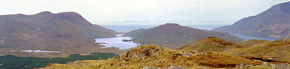 benchoona.jpg (27975 bytes)