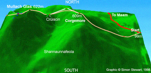 corgrout.jpg (41600 bytes)