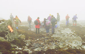 corgtop.jpg (19457 bytes)