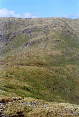 despond.jpg (45655 bytes)