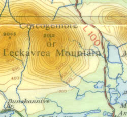 halfcorg.jpg (16274 bytes)