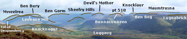 joyceslabel.jpg (29548 bytes)