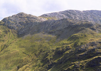 letterbn.jpg (30771 bytes)