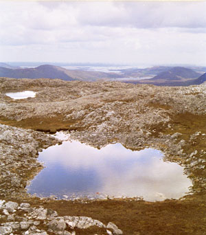 letterbseview.jpg (32590 bytes)