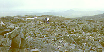 teernakill.jpg (29430 bytes)